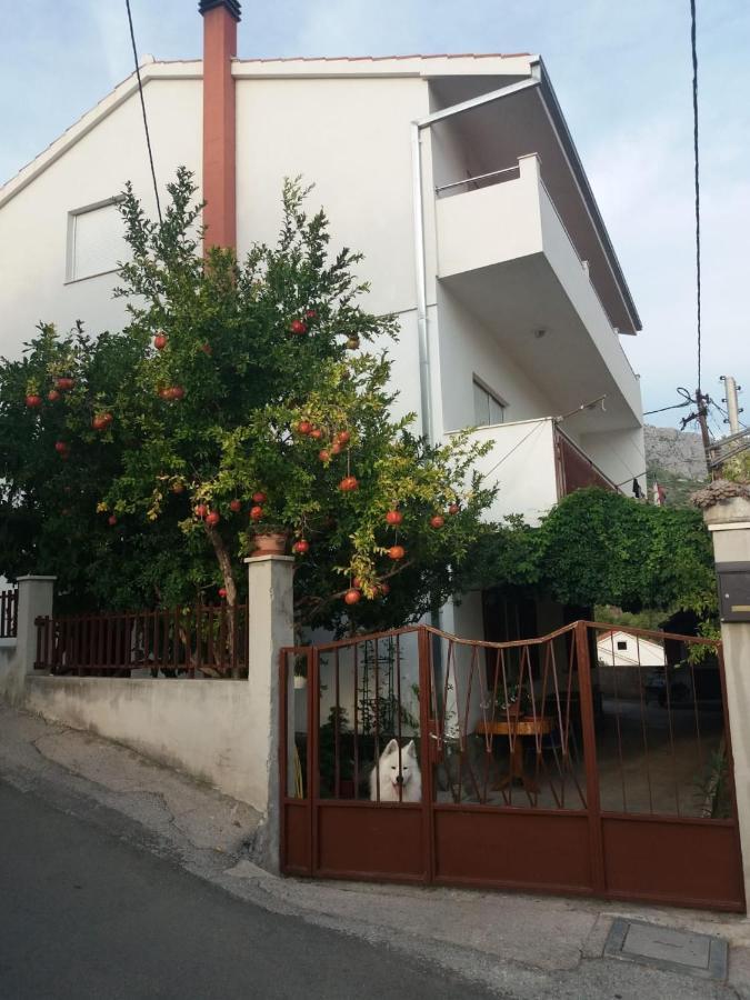 ז'סניסה Apartman Lu מראה חיצוני תמונה