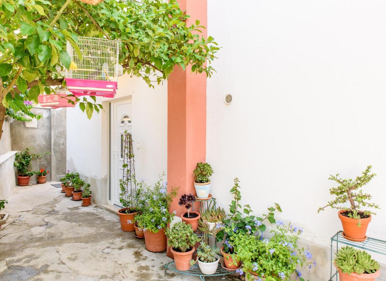 ז'סניסה Apartman Lu מראה חיצוני תמונה